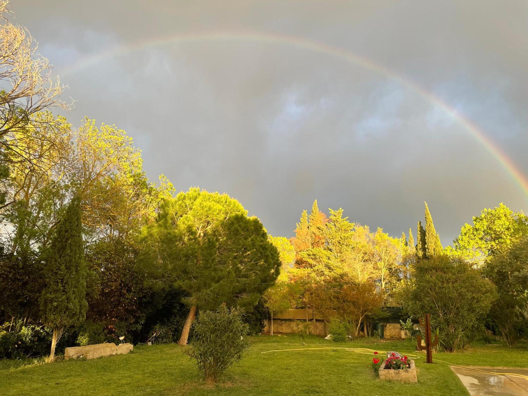 נרבון Le Jardin De Lacoste מראה חיצוני תמונה