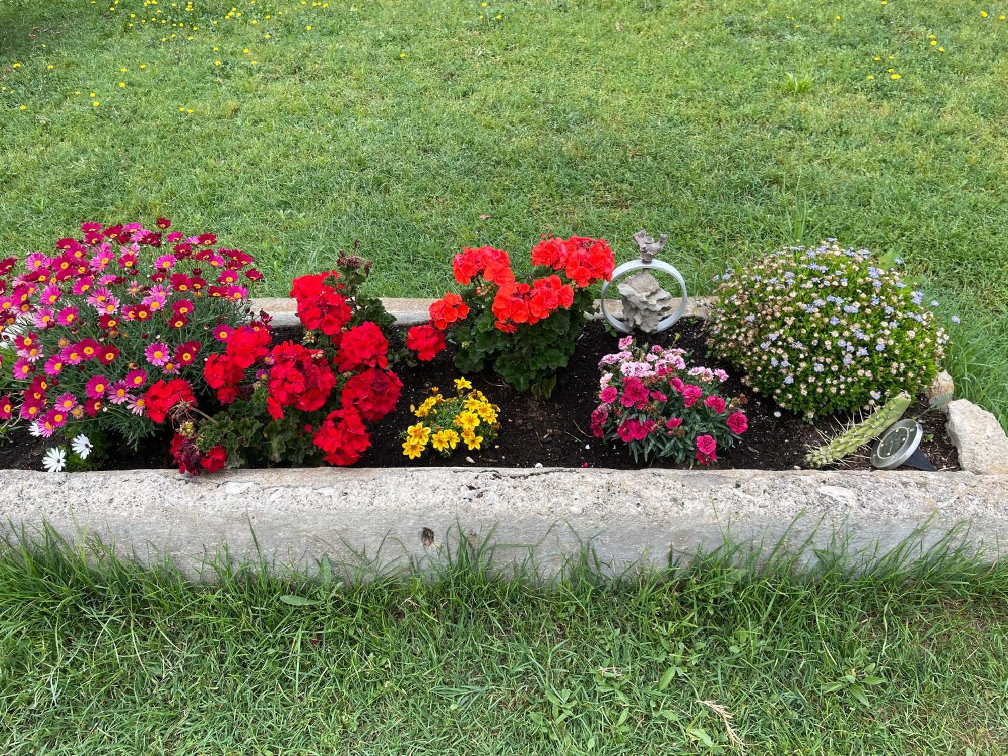 נרבון Le Jardin De Lacoste מראה חיצוני תמונה