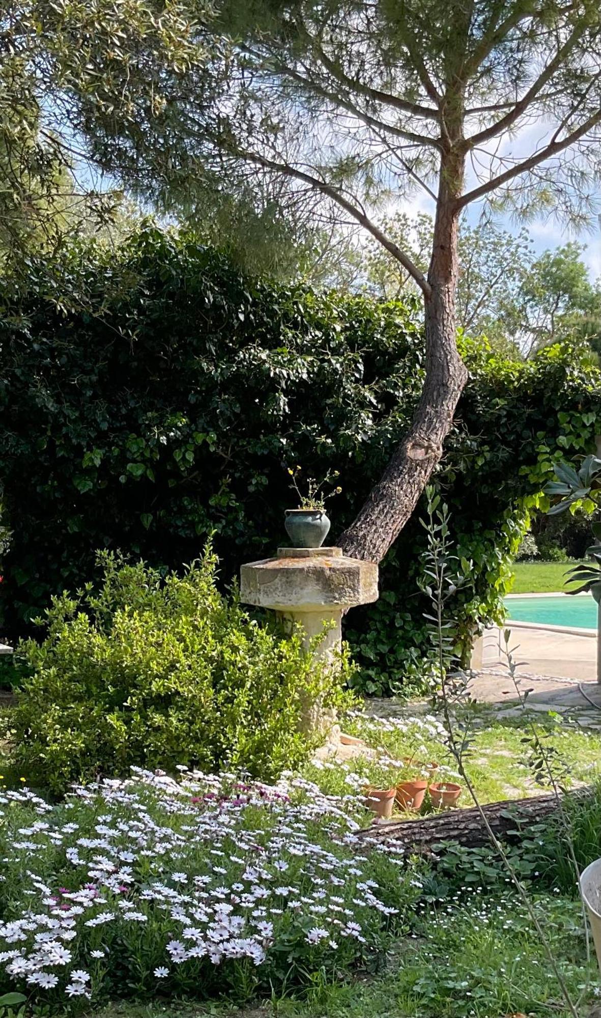 נרבון Le Jardin De Lacoste מראה חיצוני תמונה
